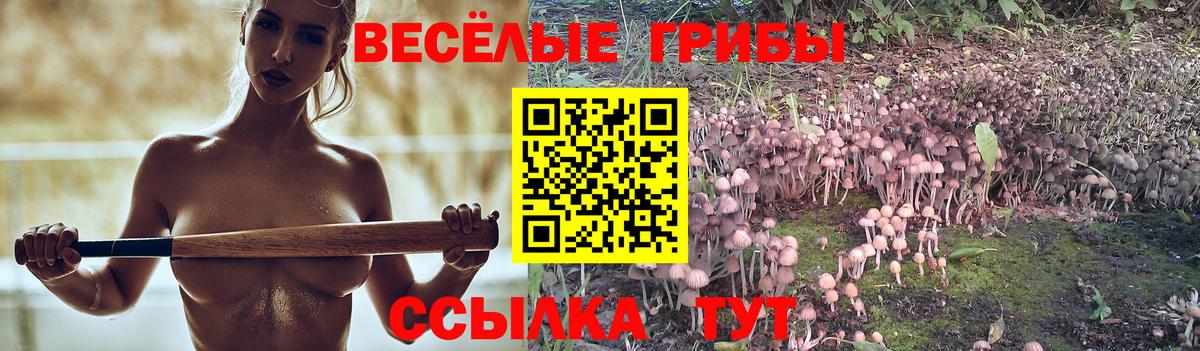Дзержинск  Галлюциногенные грибы Cubensis  Вход с VPN 