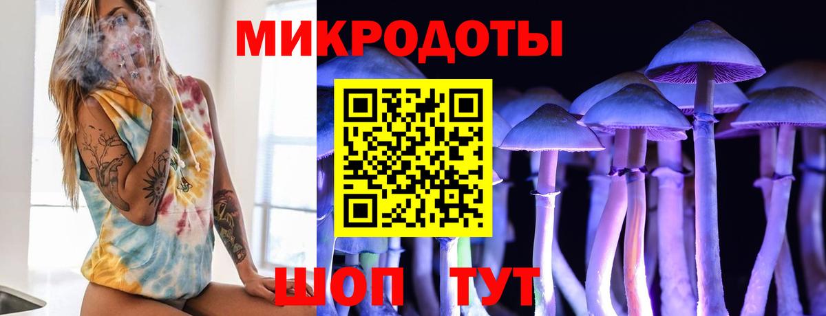 Галлюциногенные грибы Psilocybe Дзержинск